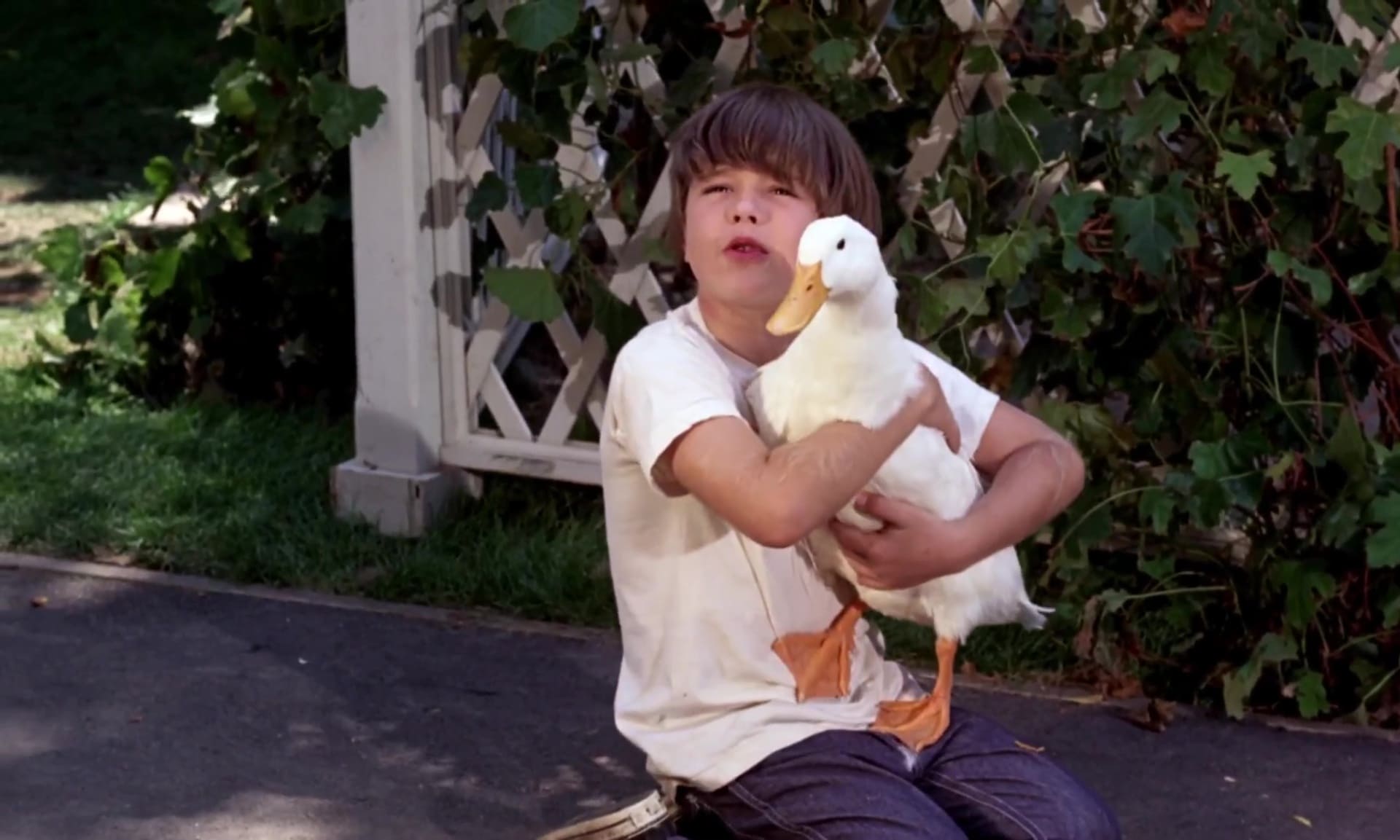 La cane aux oeufs d'or - Photos et affiches. 18 image cane oeufs or million dollar duck