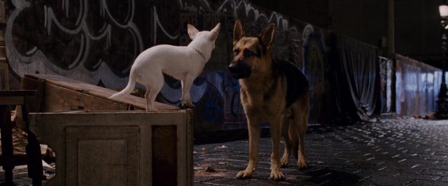 image Beverly Hills Chihuahua
