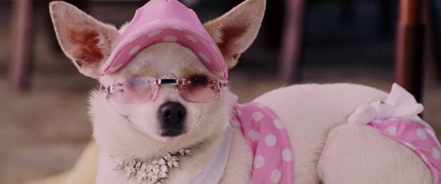 image Beverly Hills Chihuahua
