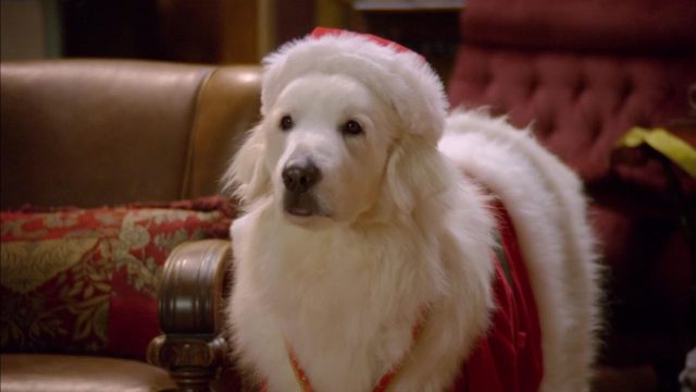 Les Chiots Noël : la relève est arrivée - Photos et affiches. 22 image chiots noel releve arrivee Santa Paws 2 Pups