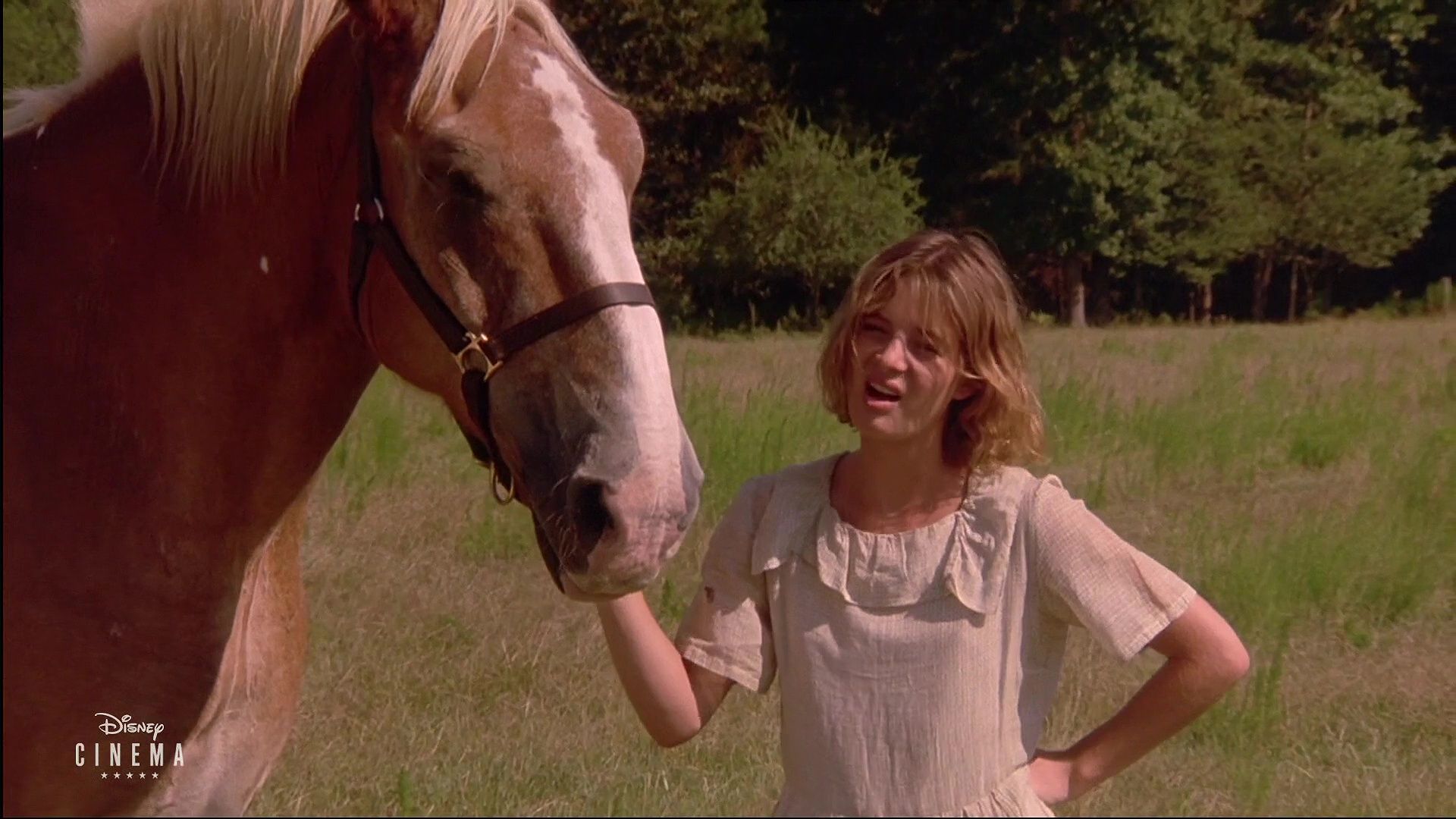 image coeur vaillant rien impossible Wild hearts broken