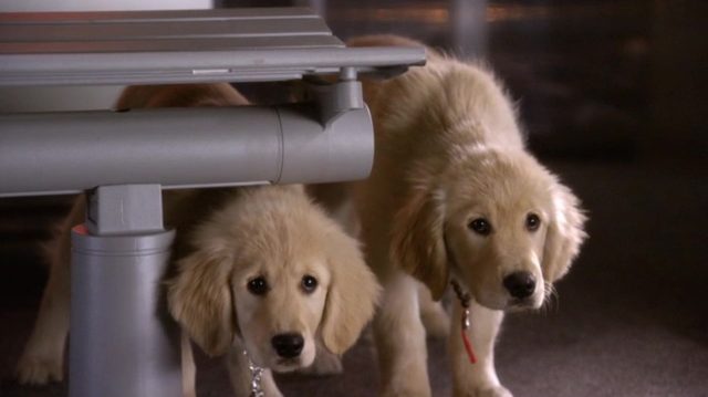 Les Copains dans l'espace - Photos et affiches. 5 image copains espace Space Buddies