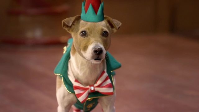 Les Copains fêtent Noël - Photos et affiches. 16 image copains fetent noel Santa Buddies Legend Paws
