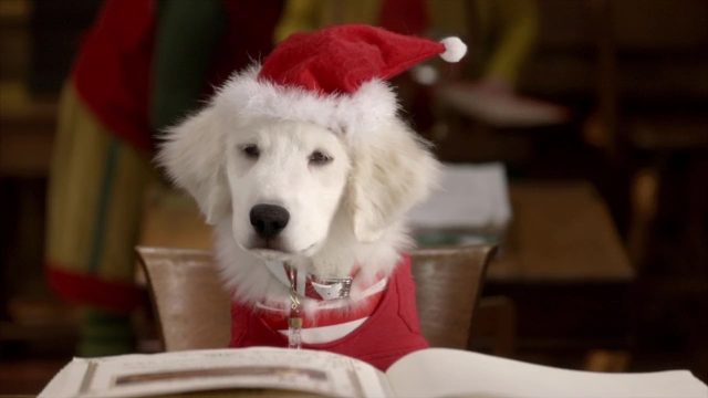 Les Copains fêtent Noël - Photos et affiches. 19 image copains fetent noel Santa Buddies Legend Paws
