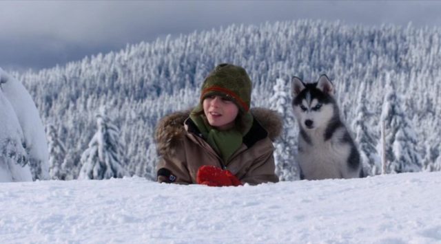 Les Copains des neiges - Photos et affiches. 12 image copains neiges Snow Buddies