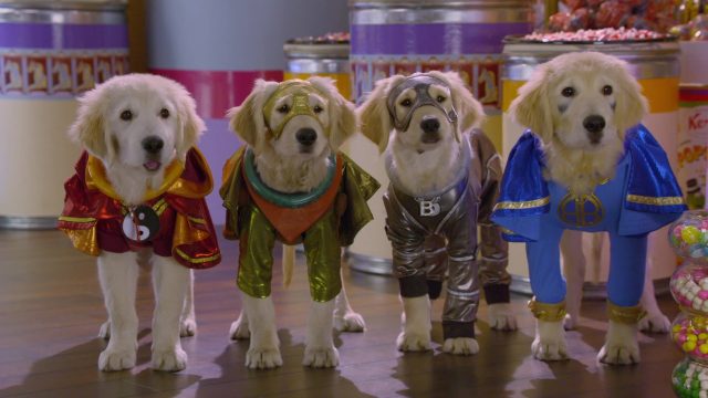 Les Copains super-héros - Photos et affiches. 16 image copains super heros Buddies