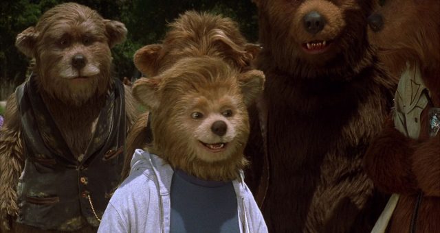 image country bears