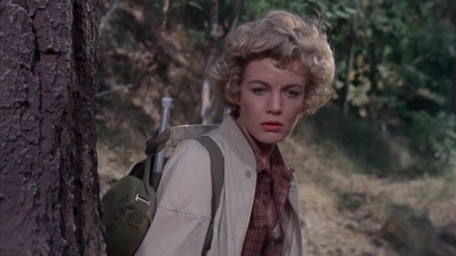 image fiancee papa Parent Trap