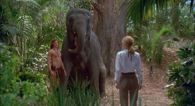 image george jungle