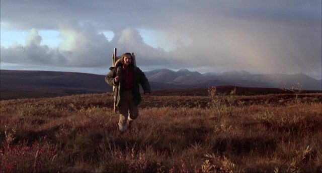 image homme parmi loups Never Cry Wolf