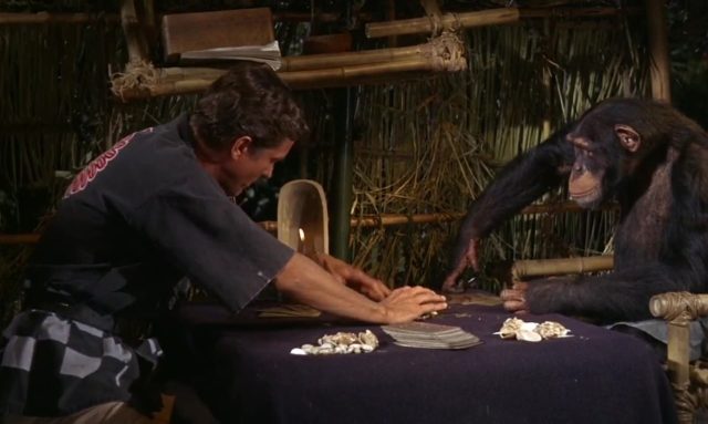 image lieutenant Robin Crusoe robinson