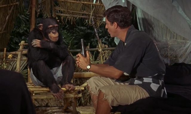 image lieutenant Robin Crusoe robinson