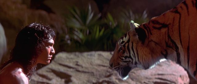 image livre jungle film book 1994