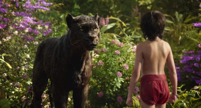 Le livre de la jungle (Film - 2016). 8 image livre jungle book film 2016
