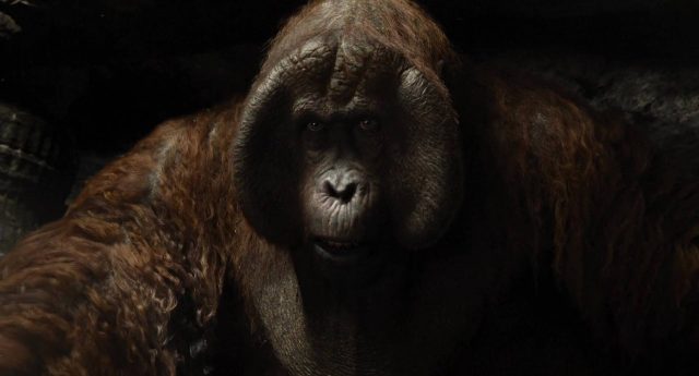 Le livre de la jungle (Film - 2016). 4 image livre jungle book film 2016