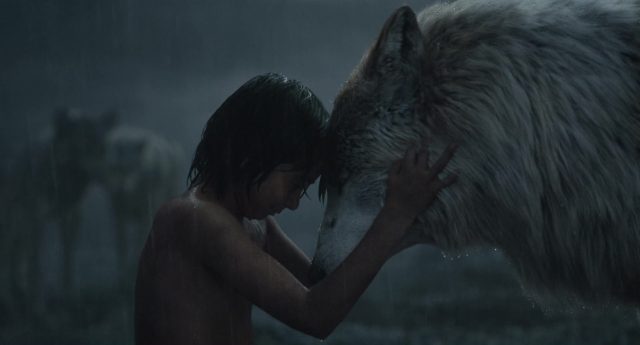 image livre jungle book film 2016