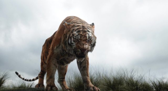 image livre jungle book film 2016
