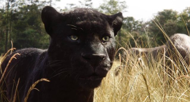image livre jungle book film 2016