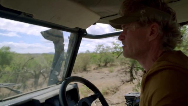 image milieu guepards Man among cheetahs
