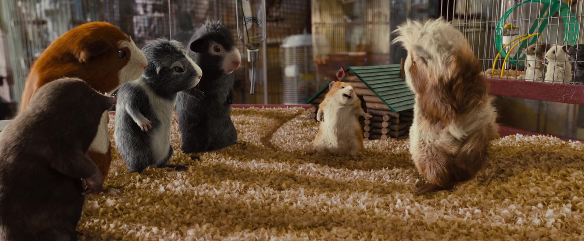 image mission g force