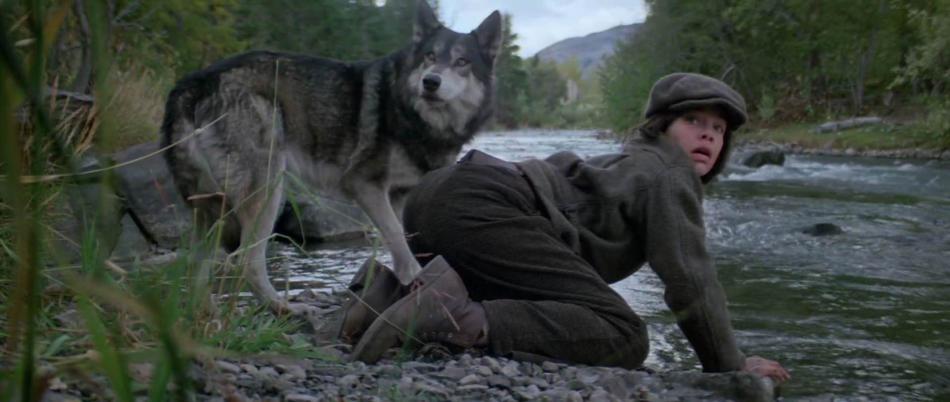 Natty Gann - Photos et affiches. 4 image journey natty gann