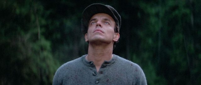 Natty Gann. 3 image journey natty gann