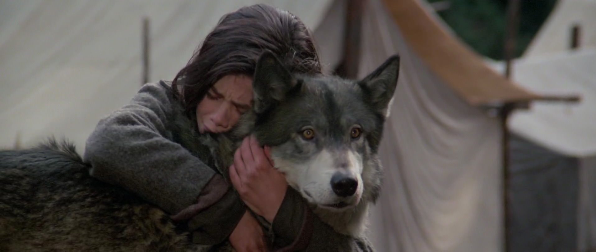 Natty Gann - Photos et affiches. 18 image journey natty gann
