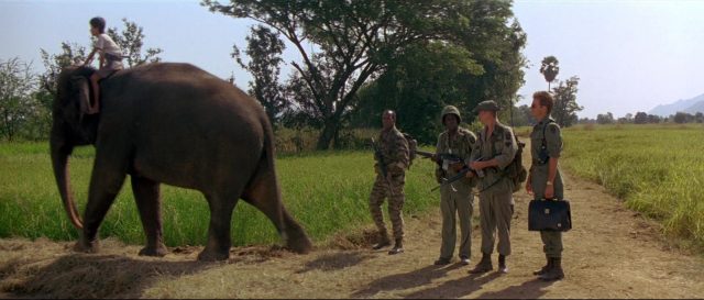 image operation dumbo drop