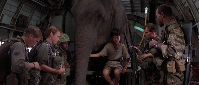 image operation dumbo drop