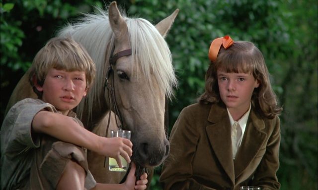 image ou passe poney Ride Wild Pony