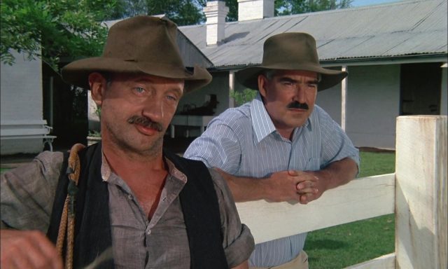 image ou passe poney Ride Wild Pony