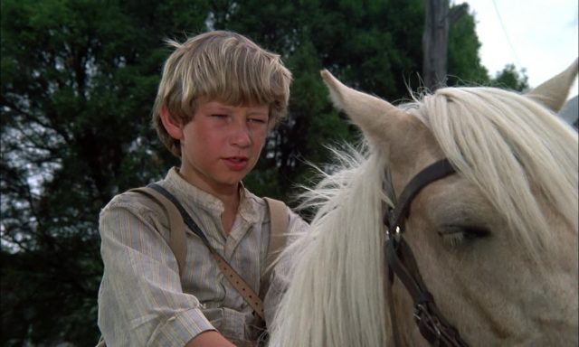 image ou passe poney Ride Wild Pony