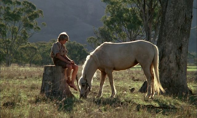 image ou passe poney Ride Wild Pony