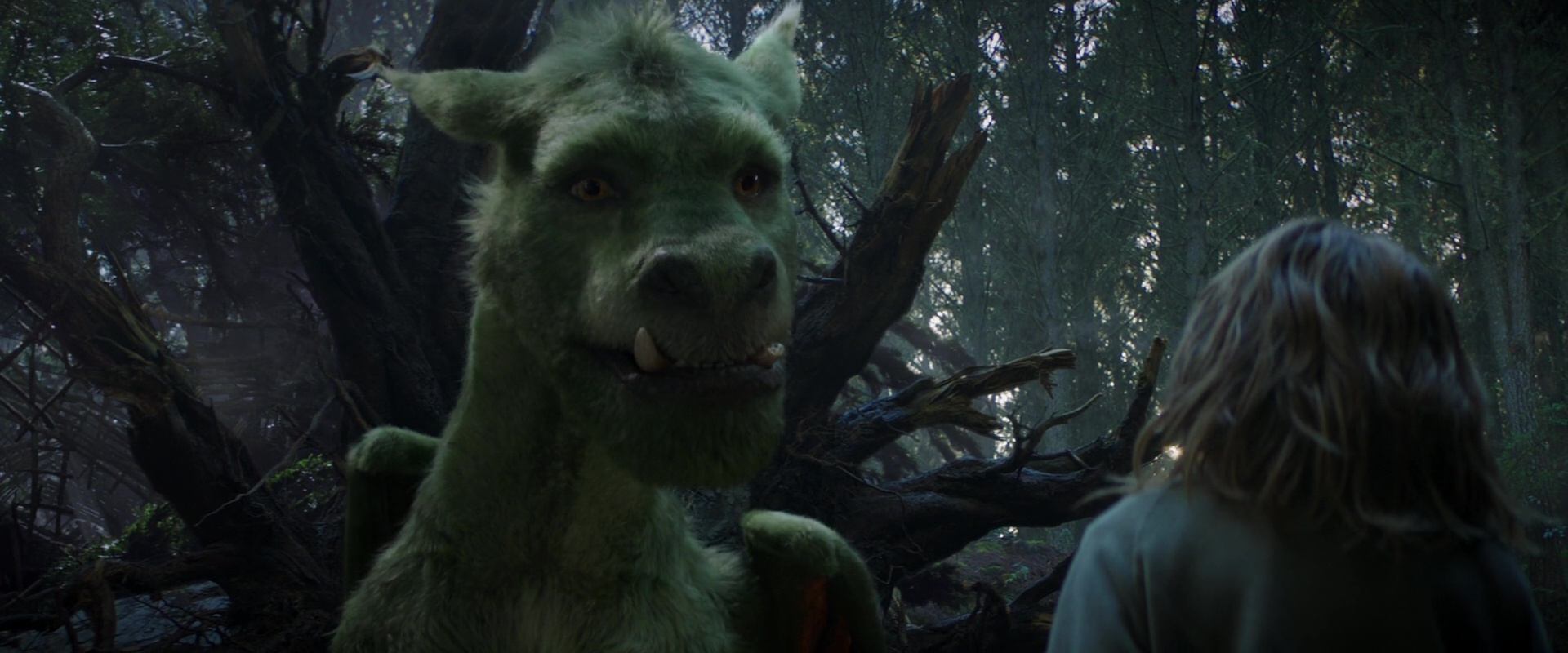 image peter elliott dragon film