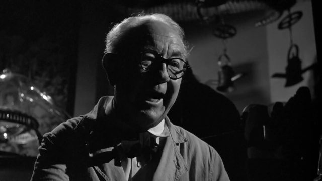 image quelle vie chien Shaggy Dog