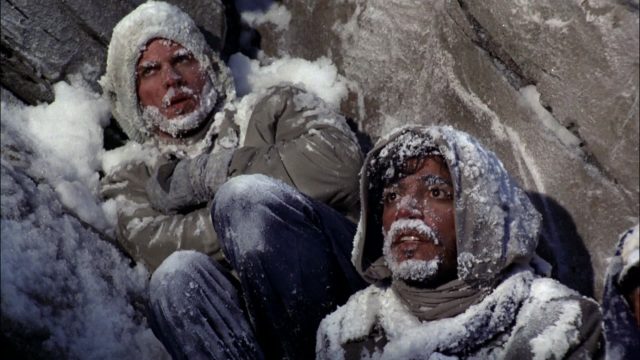 Les survivants. 3 image survivants alive