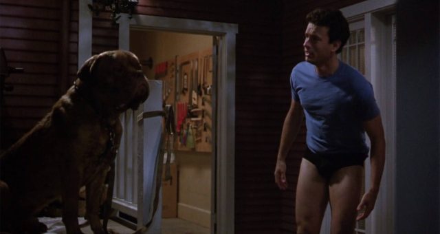 Tom Hanks dans Turner & Hooch 1989