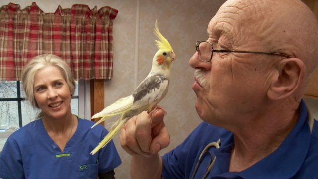 image incroyable histoire docteur pol incredible dr story