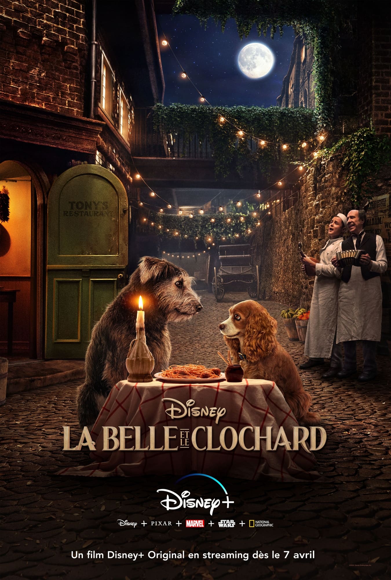 affiche poster belle clochard lady tramp disney