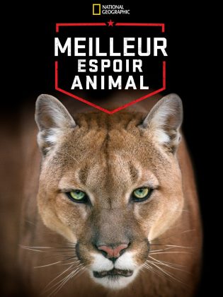 Meilleur espoir animal.