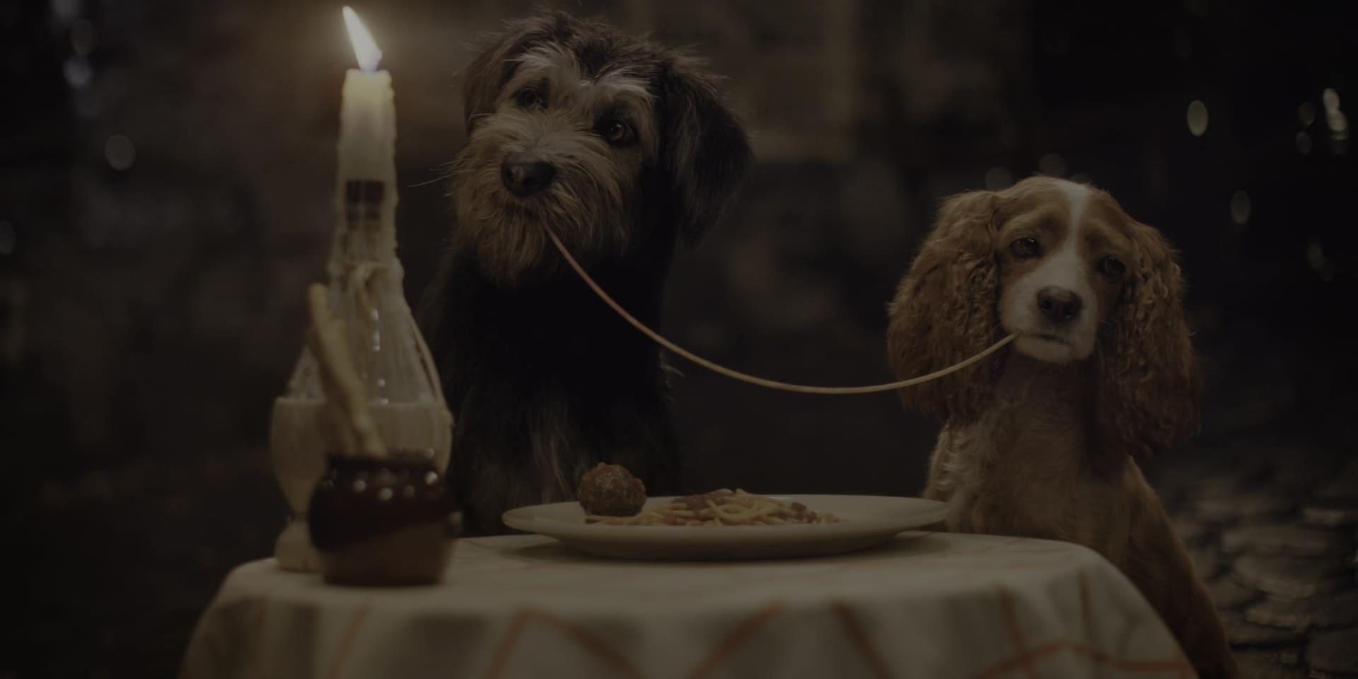 image belle clochard film lady tramp
