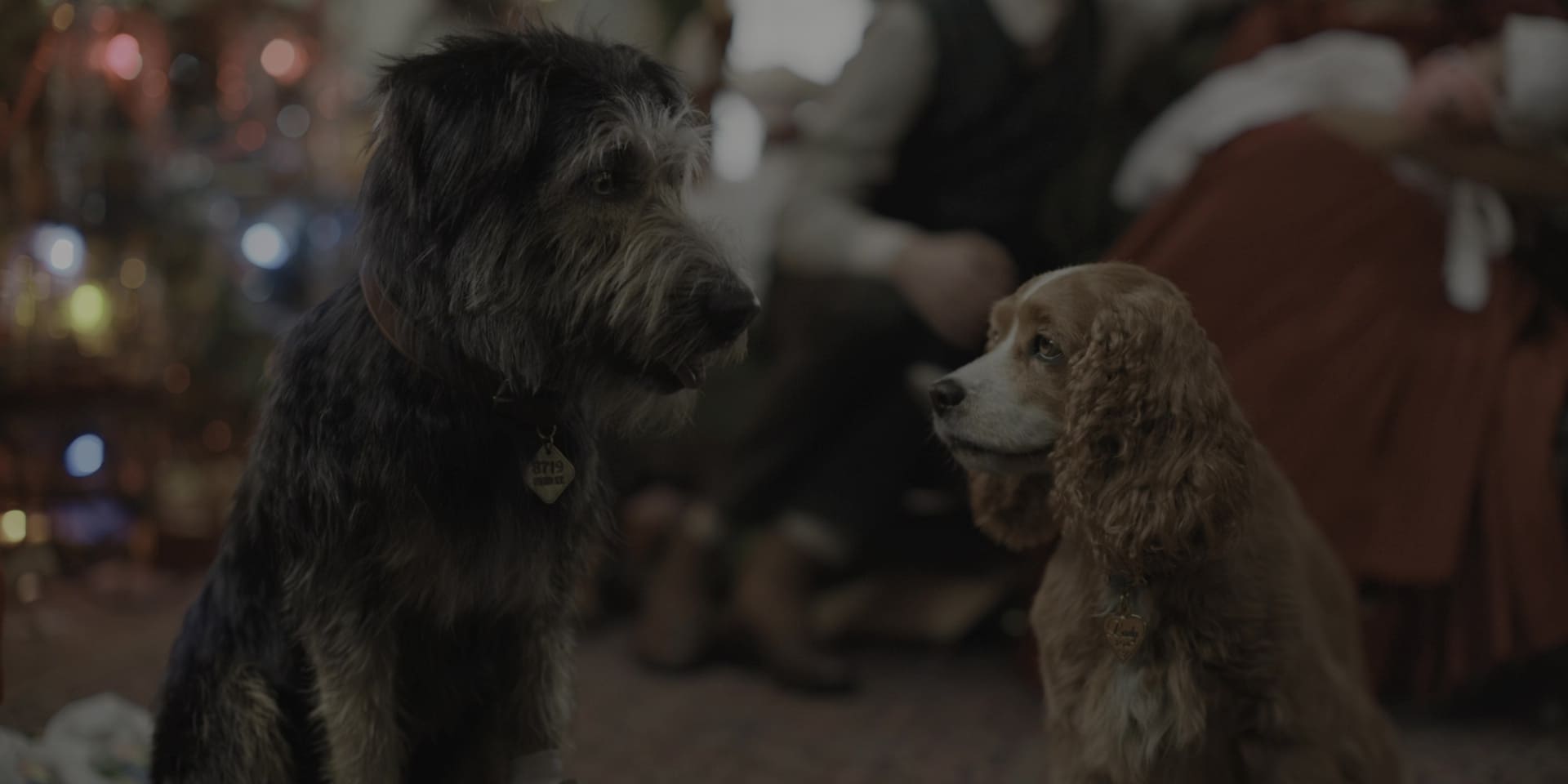 image belle clochard film lady tramp