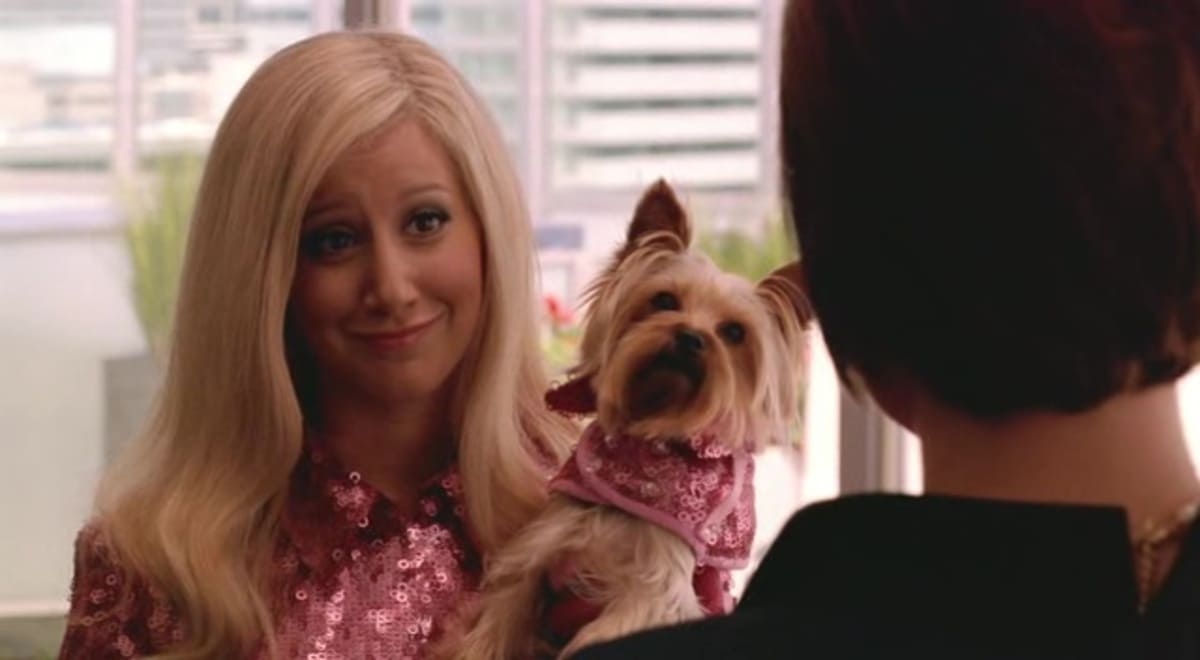 image fabulous aventure sharpay