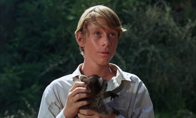 Un raton nommé Rascal. 2 image raton nomme rascal