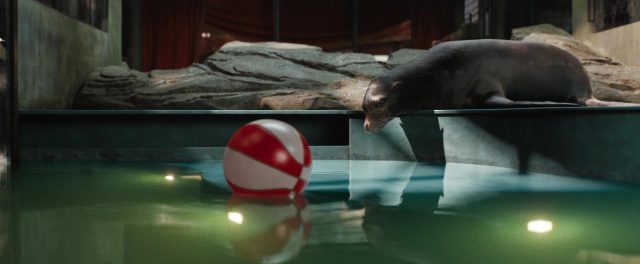 image seul unique ivan one only