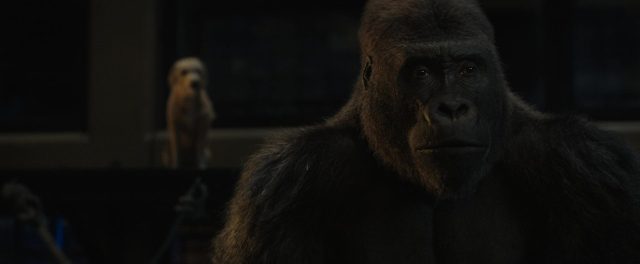 image seul unique ivan one only