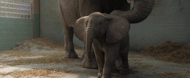 image seul unique ivan one only