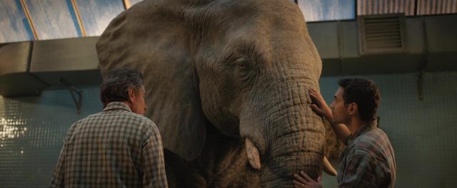 image seul unique ivan one only