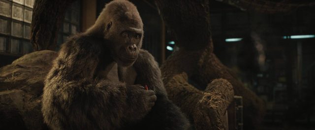 image seul unique ivan one only