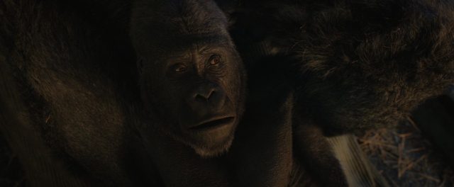 image seul unique ivan one only